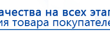 НейроДэнс ПКМ купить в Алапаевске, Аппараты Дэнас купить в Алапаевске, Скэнар официальный сайт - denasvertebra.ru